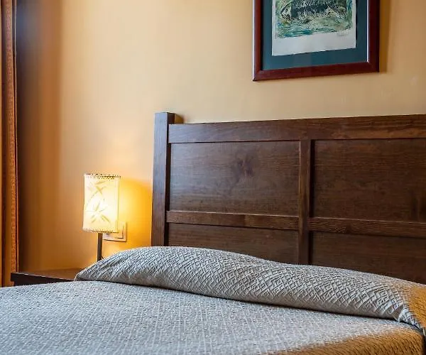 La Trufa Negra Mora de Rubielos